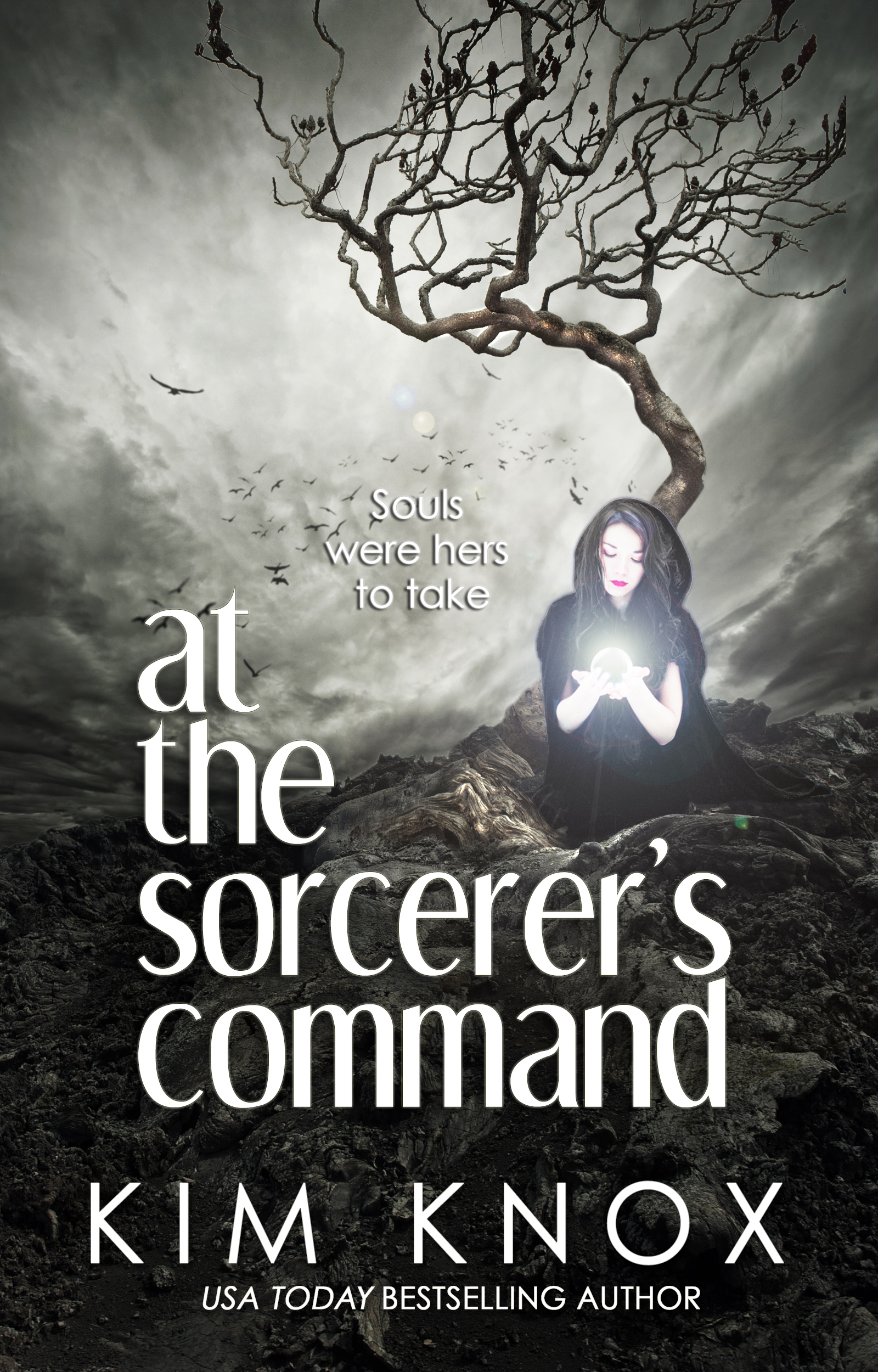 At the Sorcerer's Command